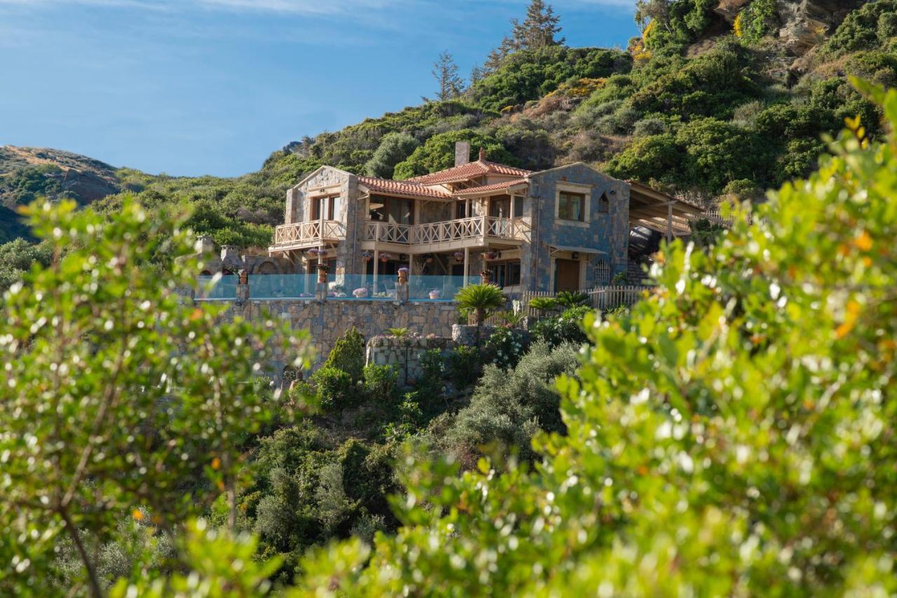 Felini Palace Agia Pelagia Dış mekan fotoğraf